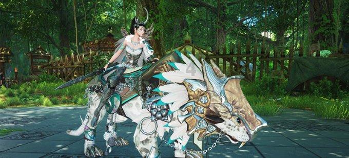 盐和避难所
